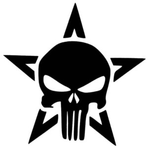 Star Punisher Decal