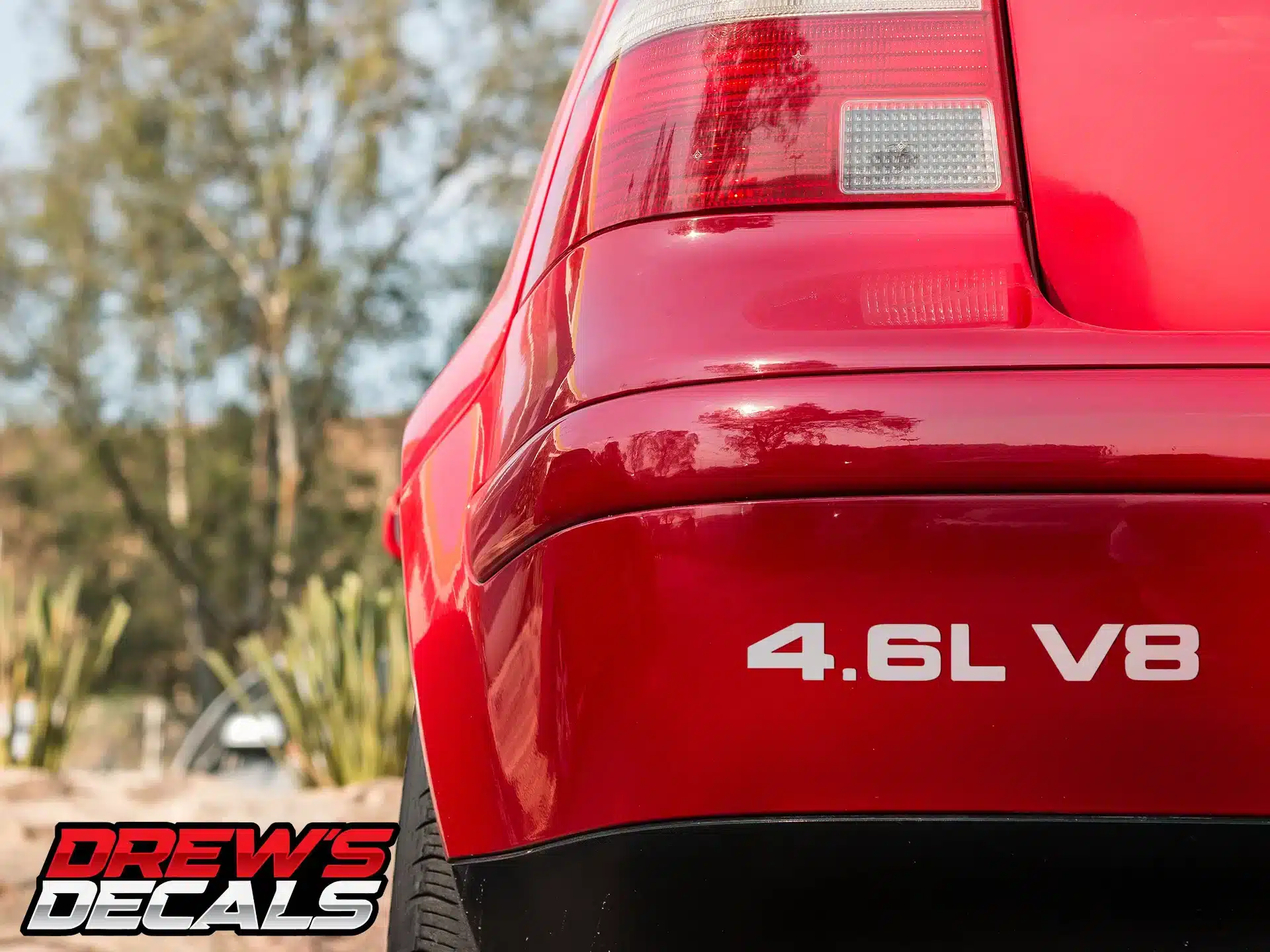 Mustang 4.6L V8 Decal