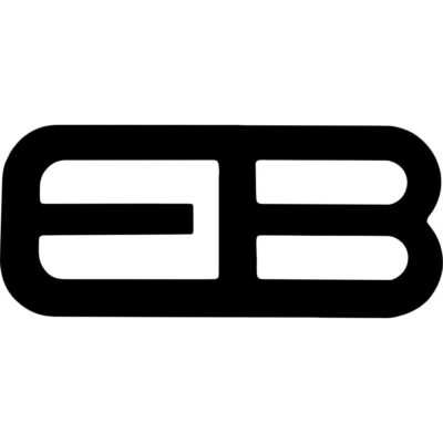 Ecoboost Decal