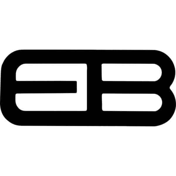 Ecoboost Decal