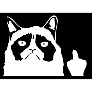 Grumpy Cat Decal