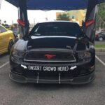 Insert Crowd Here Mustang Decal