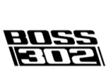 Boss 302 Mustang Fender Stripes (2)