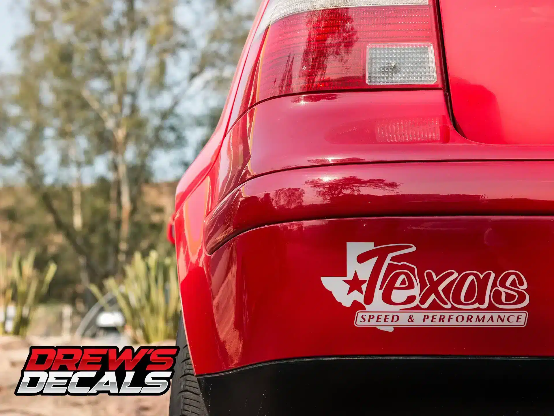 Texas Speed & Performance Decal