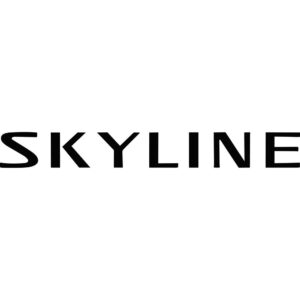 Nissan Skyline Decal