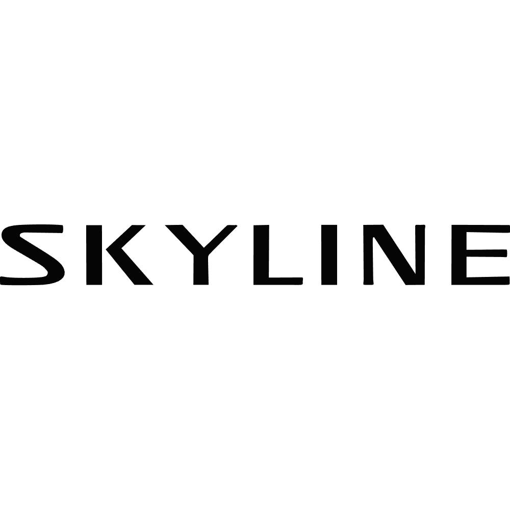 Nissan Skyline Decal