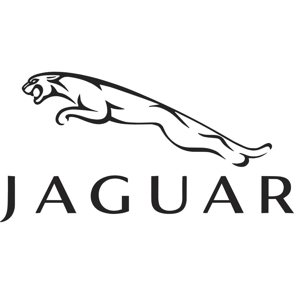 Jaguar Decal