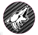 2015 - 2019 Mustang Coyote Steering Wheel Badge