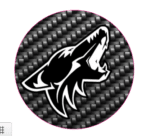 2015 - 2019 Mustang Coyote Steering Wheel Badge