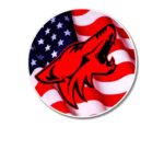 2015 - 2019 Mustang Coyote Steering Wheel Badge