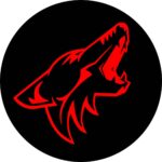 2015 - 2019 Mustang Coyote Steering Wheel Badge