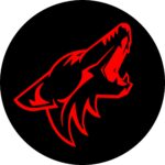 2015 - 2019 Mustang Coyote Steering Wheel Badge