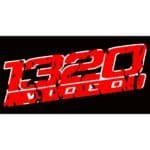 1320 Video Decal