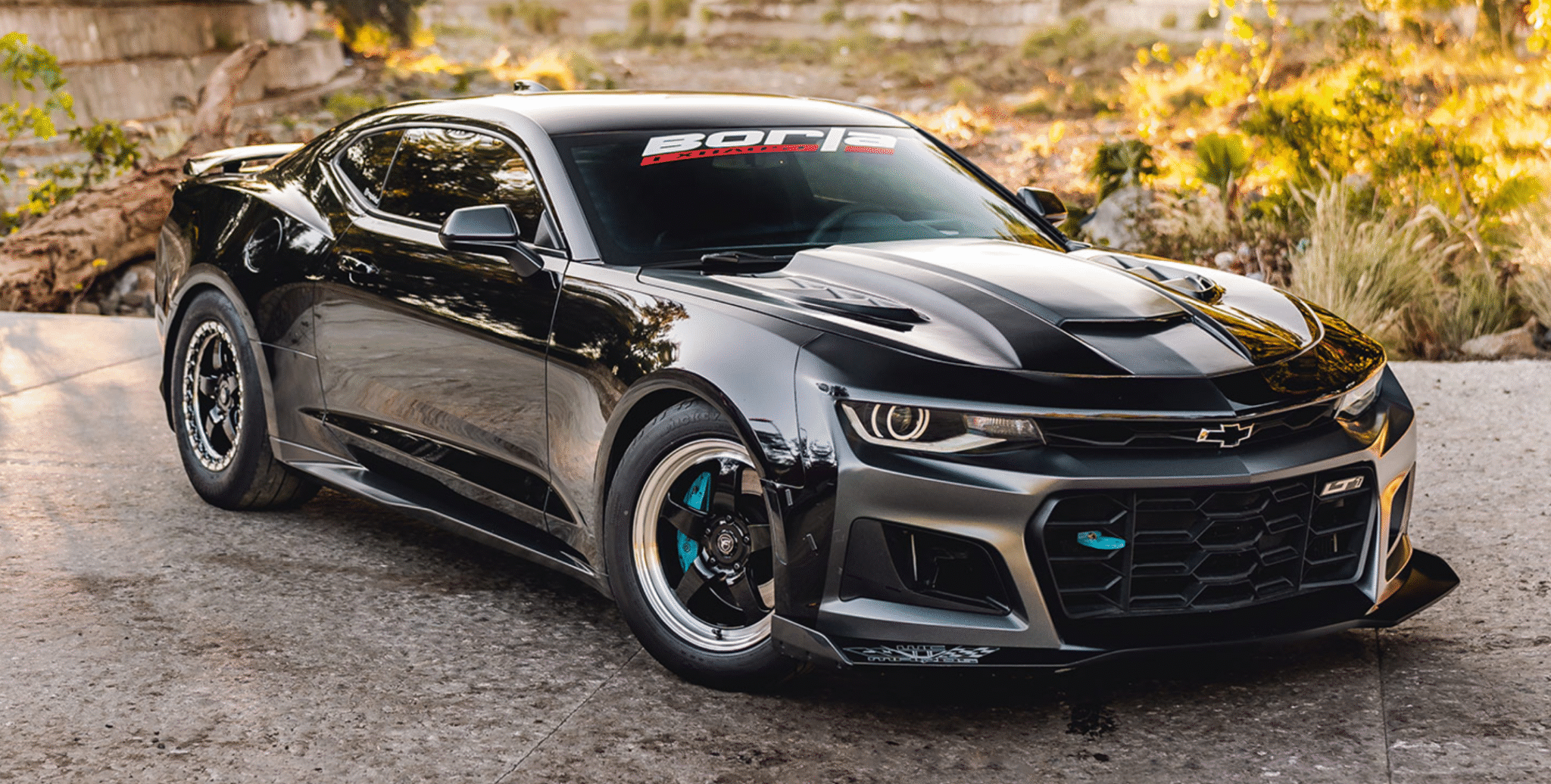 Borla Exhaust Windshield Banner