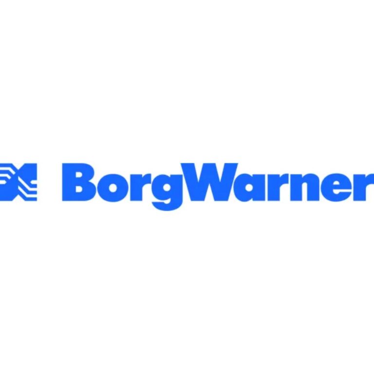 BorgWarner Decal