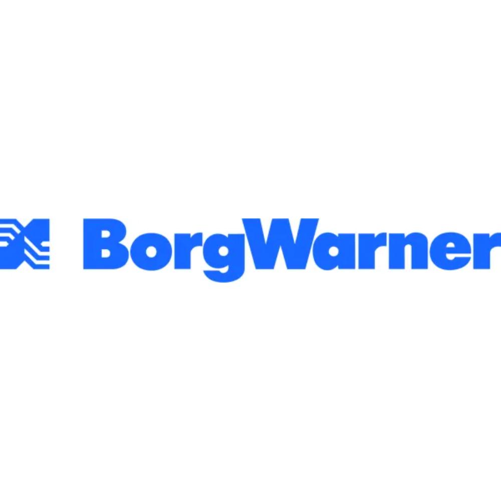 BorgWarner Decal