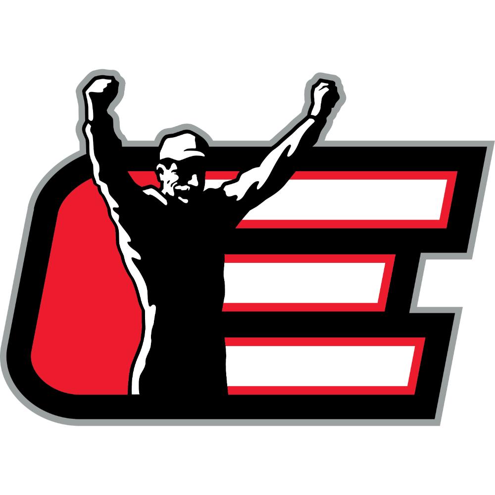 Dale Earnhardt Decal