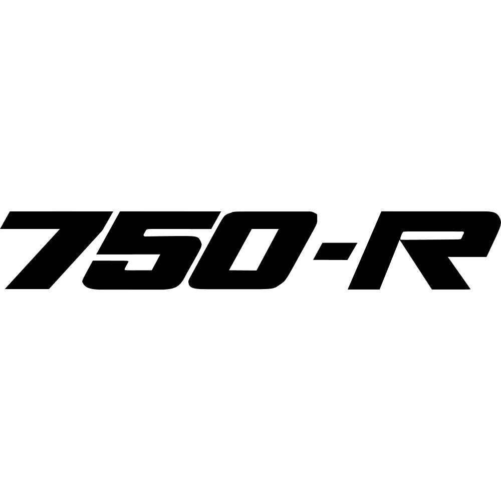 Kawasaki GPX 750R Decal