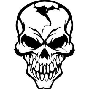 Cracked Skull Decal