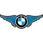 BMW Wings Decal
