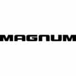 Dodge Magnum Decal