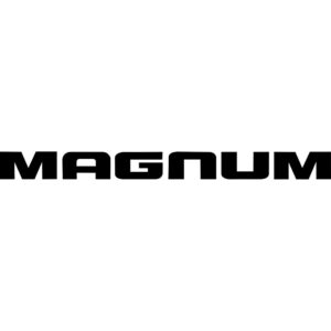 Dodge Magnum Decal