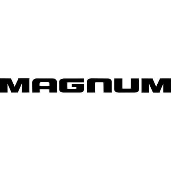 Dodge Magnum Decal