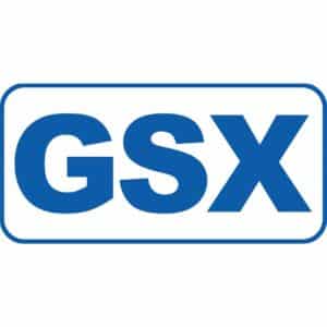 IMSA GSX Class Plate Decal