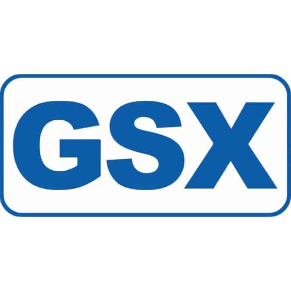 IMSA GSX Class Plate Decal
