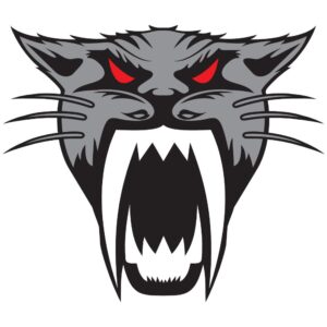 Artic Cat Head Decal