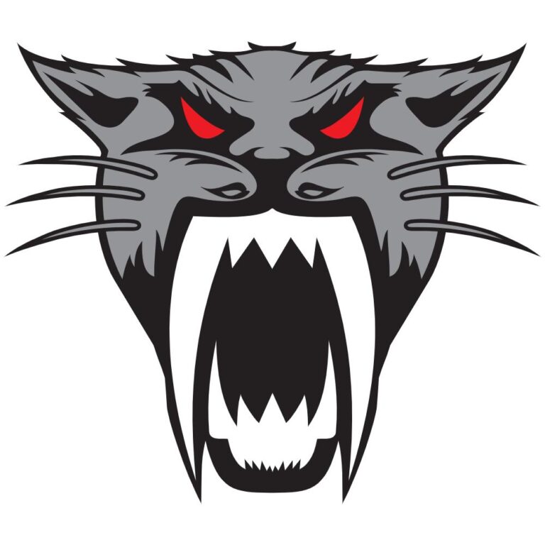 Artic Cat Head Decal