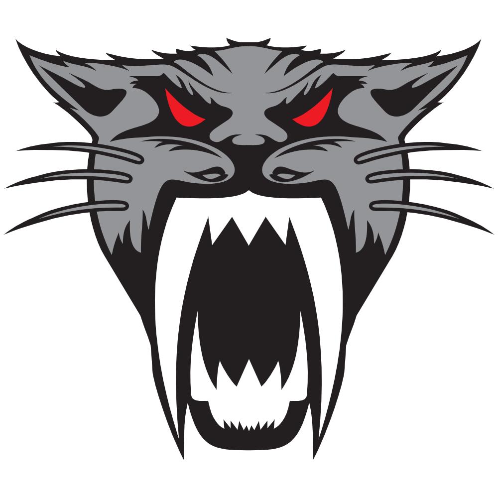 Artic Cat Head Decal