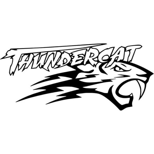Artic Cat Thundercat Decal