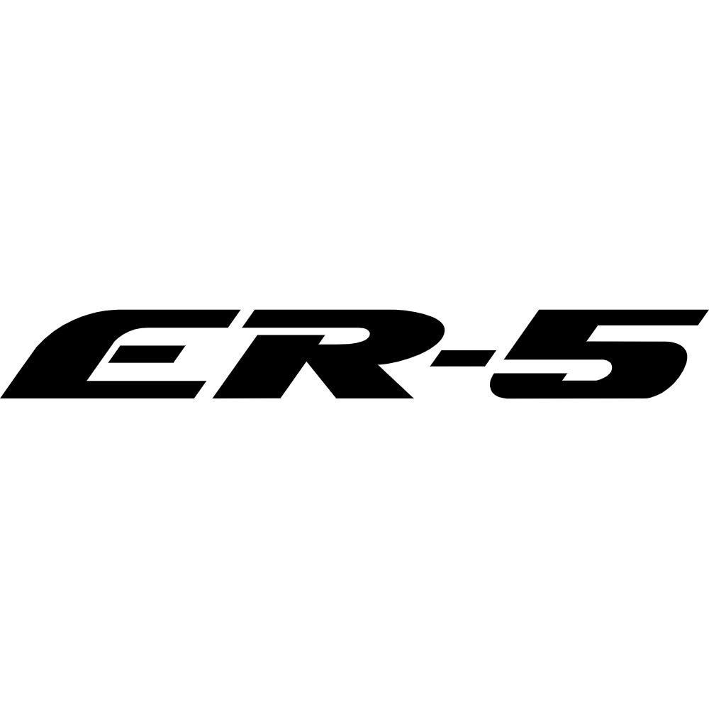 Kawasaki ER-5 Decal