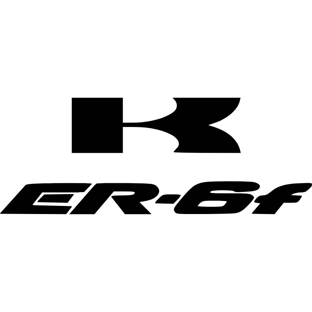 Kawasaki ER-6F Decal