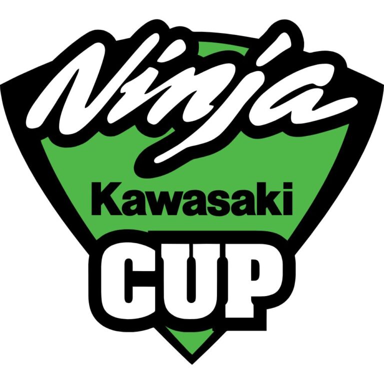 Kawasaki Ninja Cup Decal
