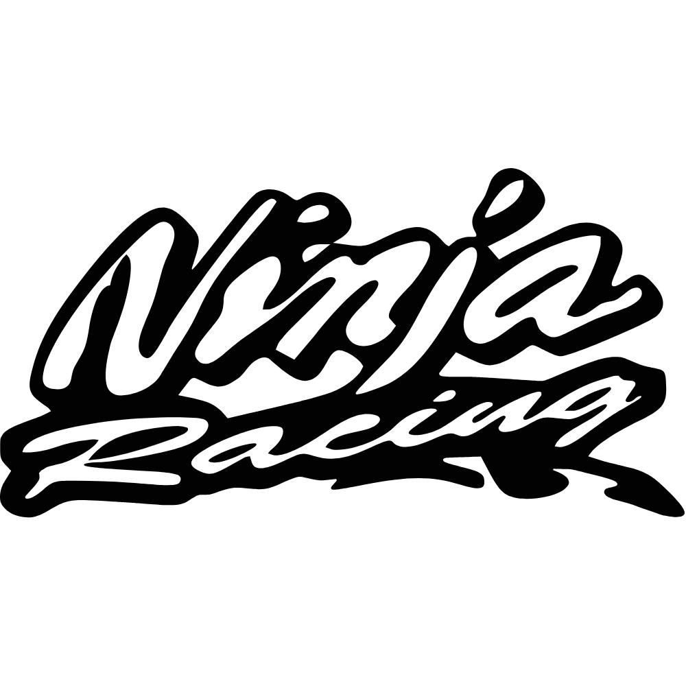 Kawasaki Ninja Racing Decal