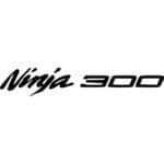 Kawasaki Ninja 300 Decal
