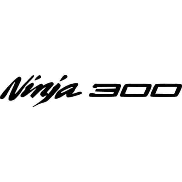 Kawasaki Ninja 300 Decal