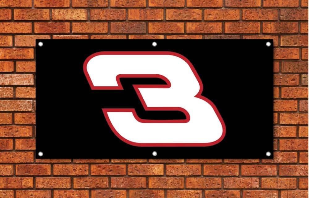 Dale Earnhardt 3 Garage Banner