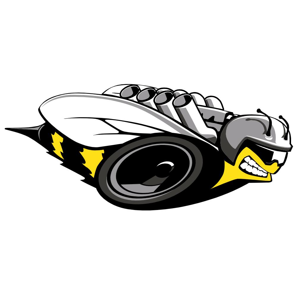 Dodge Rumble Bee Decal