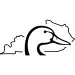 Kentucky Ducks Unlimited Decal