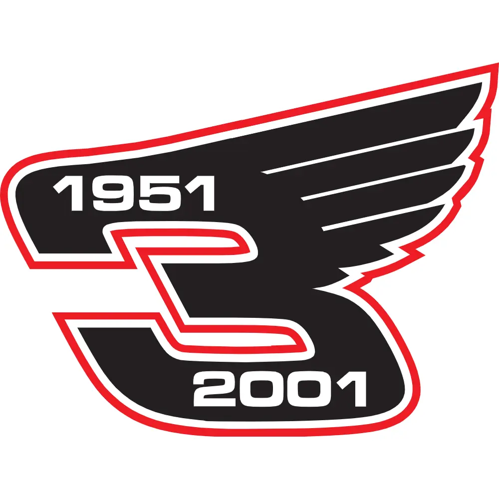 Dale Earnhardt Wings Decal