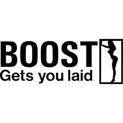 Boost Gets You Laid Decal