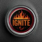 Ignite Push To Start Button Overlay