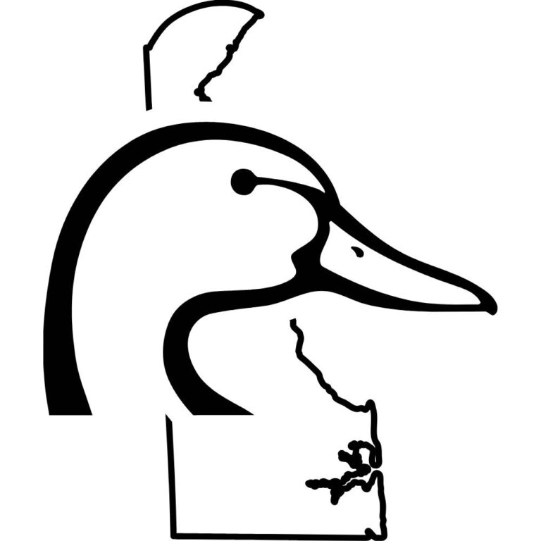 Delaware Ducks Unlimited Decal