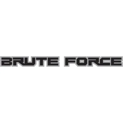 Kawasaki Brute Force Decal