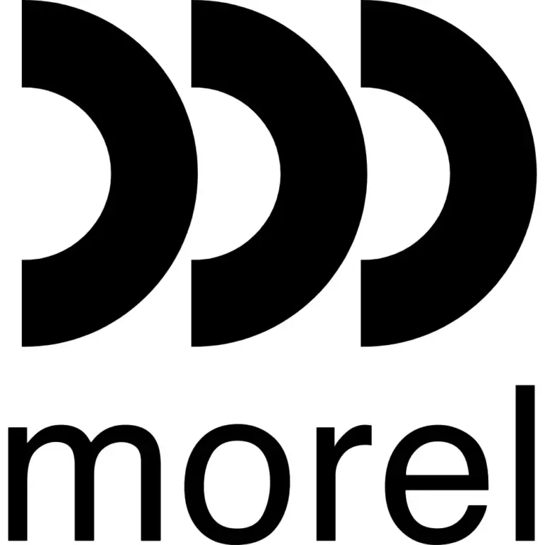 Morel Decal