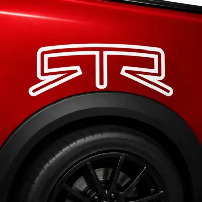 RTR Curved Fender Decal