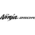 Kawasaki Ninja 250R Decal